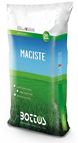 Bottos MACISTE 20 Kg - Sementi per tappeto erboso, Semi per prato extra forte resistente alla siccità per 660 mq - Prato Erboso Shop