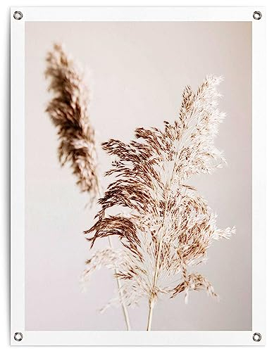 REINDERS Gartendeko, Pampagras, Garten, Bilder, Wanddeko, Room Decor, Leinwand, Beige, 80x60cm