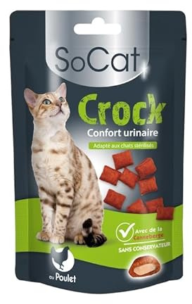 Riga - SoCat Crock Confort Urinaire - Friandises pour Chat - Biscuit Croquant Au Coeur Crémeux De Poulet - Riche en Vitamines - sans Colorant Ni Conservateur - Récompense Idéale - 60 g
