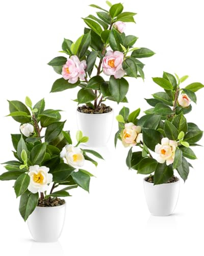 PASCH® Kamelie im Hochglanz-Keramiktopf | Kunstblumen im Topf | Künstliche Blumen wie echt | Fake Blumen | Kunstblumen wie echt (Camellia Japonica Tricolor, 3 Stück, 29cm)