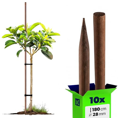 KADAX Rankhilfe aus Holz, imprägnierte Pflanzstäbe, Kletterpflanzen-Stab, wetterfeste Rankstange, Blumenstab, Rankgitter, Holzpflöcke, Pfähle (10, 28mm x 180cm)