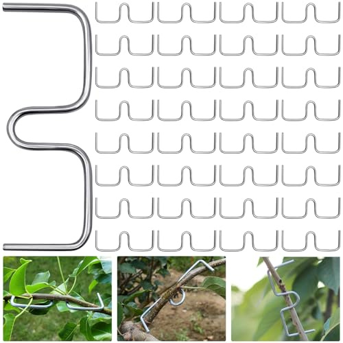 YeahBoom 33PCS 13cm Aststütze für Obstbäume,Spreizeraststütze für Obstbäume,Astspreizer für Obstbäume Metall,Astzieher Halter für Obstzweige,M Förmiger Astspreizer,Astklammern Metall für Gartenzweige