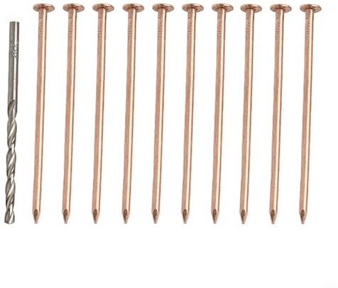 GANCEI Clavos de cobre para matar tocones de árbol, 3.15 pulgadas con brocas para eliminar raíces, paquete de 10