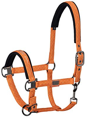Eskadron Halfter Platinum 2019 Glossy Vermillion-orange, Es19_Plat_Gr.:P2