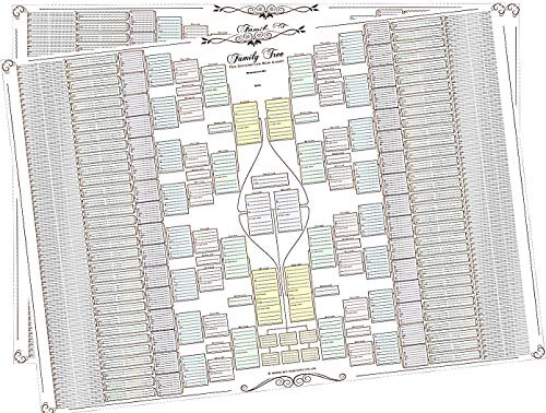 Arbre généalogique – Tableau double pour 10 générations (Boîtes colorées, papier 120 g, pack de deux)