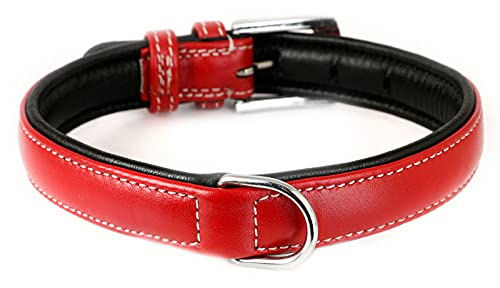 Monkimau Hundehalsband aus Leder Halsband für Hunde Lederhalsband weich gepolstert (S, rot)