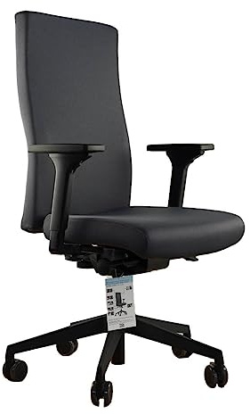 TREND OFFICE Trendoffice to-Strike Comfort pro sk 9248, Testsieger Stiftung Warentest, ergonomischer Bürostuhl mit 4D-Armlehnen, höhenverstellbare Rückenlehne, by Dauphin (grau)