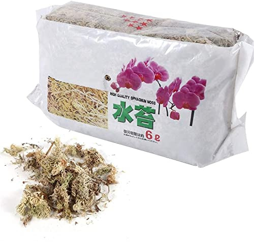 Yeehliny Sphagnum Moos Phalaenopsis Sphagnum Moos Trockene Flechte für Blumen Gartenpflanze Phalaenopsis Orchidee Spagnummoss Wassermoos Trockenmoos Wasser Gras Substrat Für Orchidee (6 Liter)
