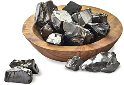 Elite Shungite Rocks for Water Purification & Filtering 100 grams (5-15 grams per Stone) | Certified Type 1 Natural Authentic Stones from Karelia