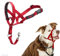 HALTI Headcollar Size 2 Red, UK Bestselling Dog Head Harness to Stop Pulling on the Lead, Easy to Use, Padded Nose Band, Adjustable & Reflective, Professional Anti-Pull Training Aid for Medium Dogs