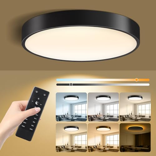 Lightania 11 Inch Flush Mount Ceiling Light with Remote Control & Night Light, 5CCT Dimmable Ceiling Light Fixture, 20W 2000LM 2700K-6500K Adjustable LED Ceiling Lights for Bedroom Kitchen, Black