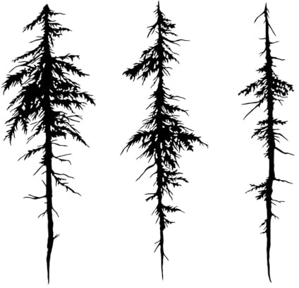 Wandaufkleber „Baum, Wald“, für Schlafzimmer, Jugendzimmer, Dschungel, Wildtiere, Wald, Wandtattoo, Spielzimmer, Kinderzimmer, Zuhause, klein – 39x40cm