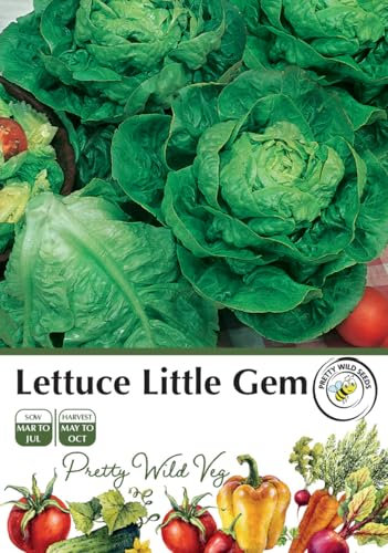 Lettuce Little Gem Seeds in Pictorial Packet - 700 Seeds