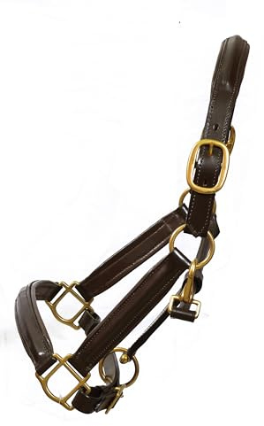 Premium Leather Horse Brown Headcollar Halter With Fully Raised And Padded Adjustable with Brass Fittings (Cob)