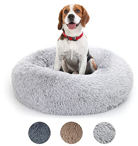 LuckySign - Kattsäng, hundsängar, rund gosig säng, hundkorg, kattkorg för sömn, hundkudde, tvättbar kattsovplats för katter och små hundar, 70 x 70 cm – ljusgrå