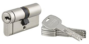 THIRARD - Cylindre de Serrure Double Entrée Transit 2 - Laiton - Usage Intérieur et Extérieur - 8 Goupilles - Anti-Arrachement, Anti-Perçage, Anti-Crochetage, Anti-Snap - 30 x 30 mm - Gris