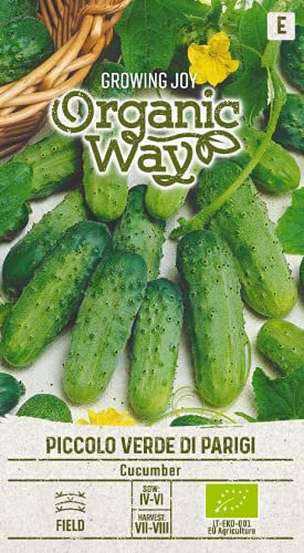 Organic Way | CONCOMBRE PICCOLO VERDE DI PARIGI des graines | Graines de légumes | 1 Paquet