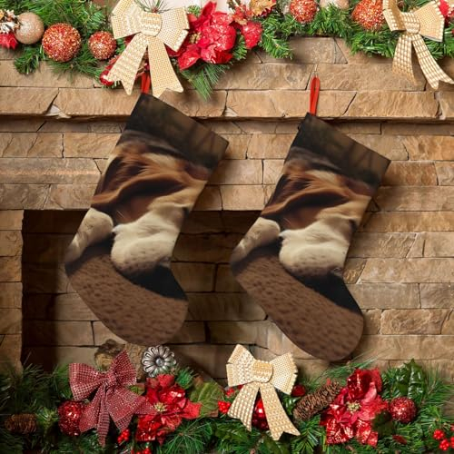 KHiry Weihnachtsstrümpfe, 45,7 cm, personalisierbar, schlafender Hund, Plüsch, Weihnachtsstrumpf, Weihnachtsstrumpf, Dekoration für Urlaub, große Strümpfe für Weihnachtsdekoration