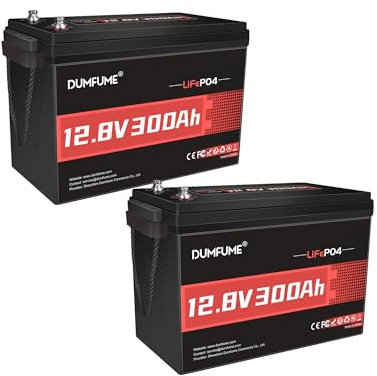 Dumfume 2 Packs de Batterie LiFePO4 12V 300Ah - 3840Wh, BMS 200A, Batterie Lithium Fer Phosphate pour Stockage D'Énergie Domestique, Solaire, Camping-Car, Applications Hors-Réseau