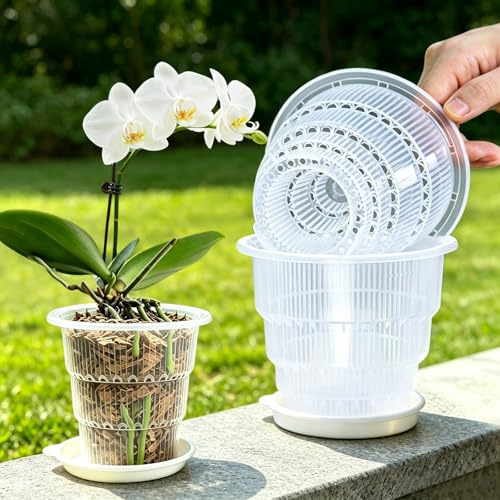 Meshpot Lot de 4 Petits Pots à orchidée Transparents de 10,2 cm avec Trous et soucoupes pour rempotage – Petits Pots à orchidée en Plastique offrant Une Bonne Circulation de l'air, pour Plantes