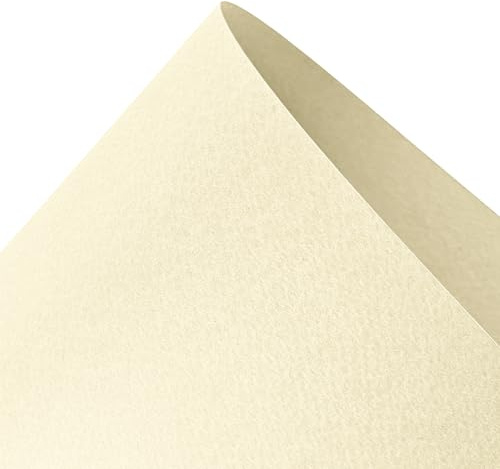 Netuno 100x crèmekleurig karton A4 210 x 297 mm 220g Prisma Camoisio karton met reliëf aan één zijde för inbjudningar dekoration scrapbooking pyssel gratulationskort visitkort