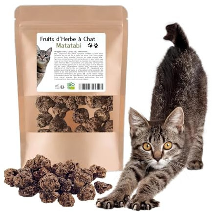 Matatabi Katzenminze Früchte, Matatabi-Früchte, Katzenspielzeug – Zahnreinigung & intensive Stimulation – 20 Stück