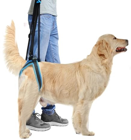 PETCUTE Imbracatura di Sollevamento per Cani,Regolabile Imbracatura di Supporto per Cani per Gambe Posteriori,Imbragatura Di Sostegno Per Cani,Supporto per Cani Anziani, Feriti, Malati e Disabili