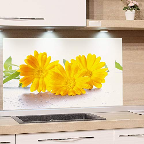 GRAZDesign Küchen-Spritzschutz Glas Küchen Herd Gasherd, Bild-Motiv Blumen gelb weiß, Glasbild als Küchenrückwand - Küchenspiegel Küche / 100x50cm