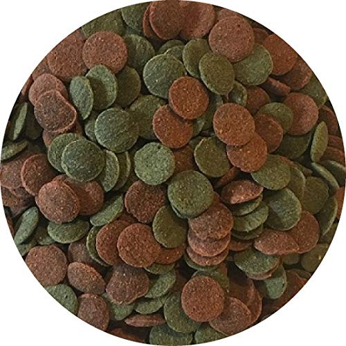 Fischfutter Futtertabletten Wafer Mix MINI Color Spirulina Welstabletten Ø1cm (1 kg)