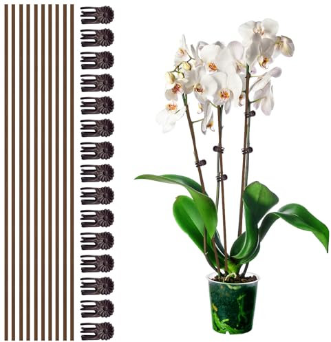 Plant Stake Clip Set Green, Plant Sticks Supplies Support Tall, Useful Support Clips, Fine Workmanship Allow Bending Suitable for Various Plant Pots Indoors and Outdoors (Brown)