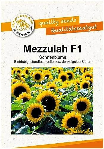 Blumensamen Mezzulah F1 Sonnenblume Portion