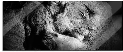 Pixxprint Glasbild Panorama, Wandbild aus Echtglas, Männer Frauen Löwe kuscheln, 120x50 cm, inkl. Aufhängung und Abstandshalter