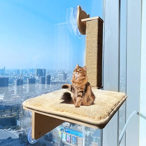 Pucaru Kletterwand Katzen Aus Holz, DIY-Kratzbaum, Schlagfreies Katzensprungbrett Aus Fliesenfenstern, Katzensitz für Den Innenbereich(39 * 57cm)