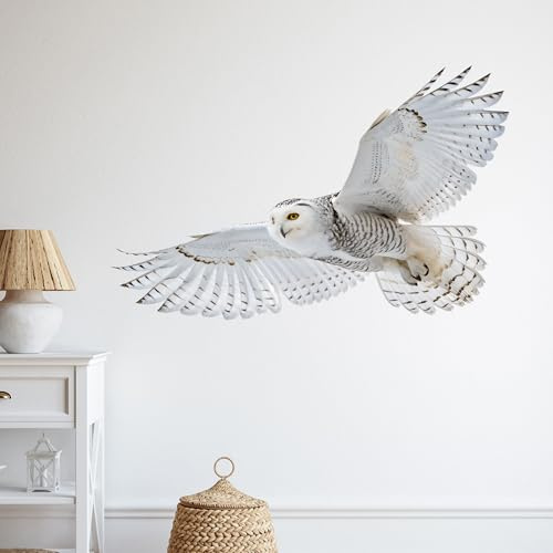 GRAZDesign Eulen Wandtattoo 3D-Schnee-Eule Wandsticker Dekoration für Wohnzimmer & Kinderzimmer - 60x40cm
