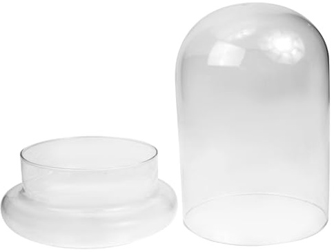 EPIGEIST Glass Dome and U-shaped Glass Bell Jar 15cm x 20cm Cover for Eternal Flower Display and Micro Landscape Decoration