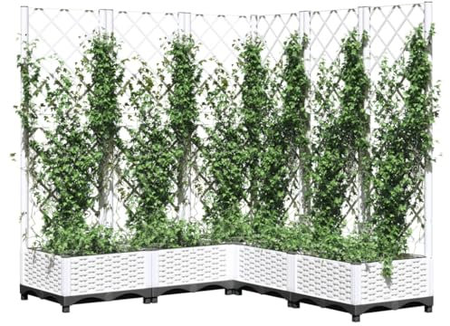 Fioriera a traliccio da giardino, bianco, contenitore per piante rampicanti, 120 x 120 x 121,5 cm, resistente, in polipropilene, accessorio decorativo da giardino per esterni