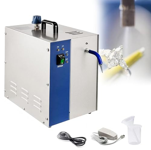 Aredwhiterui 4L Nettoyeur De Bijoux à Vapeur, Nettoyeur De Bijoux Professionnel avec Réservoir en Acier Inoxydable 304, Adapté Aux Bijoux en Or Et en Argent, Aux Pièces De Monnaie (2200W)