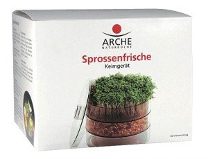 Keimer Sprossenfrische - ARCHE Kletterpflanzenhalter Metall Halbkreisförmig Klar Modern Lackiert oder Pulverbeschichtet
