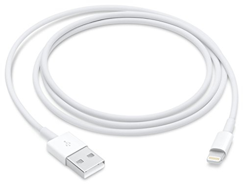 Apple Lightning auf USB Kabel (1 m)