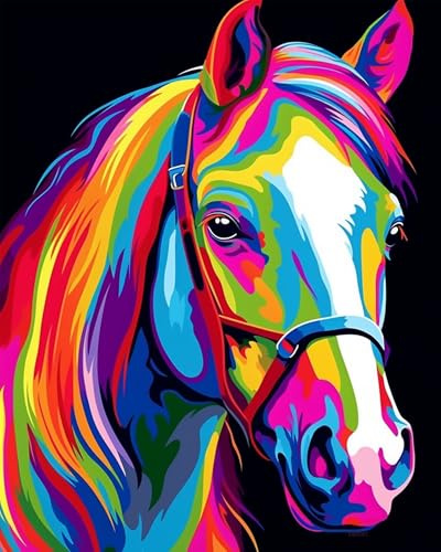 Maomaomi Paint by Numbers DIY Acrylic Painting Kit for Kids & Adults Beginner – 16 Wx20 L Color Horse Head Pattern