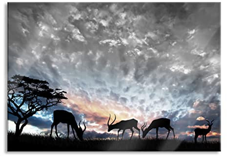 Pixxprint Glasbild, Wandbild aus Echtglas, Tiere in der Natur, 60x40 cm, inkl. Aufhängung und Abstandshalter