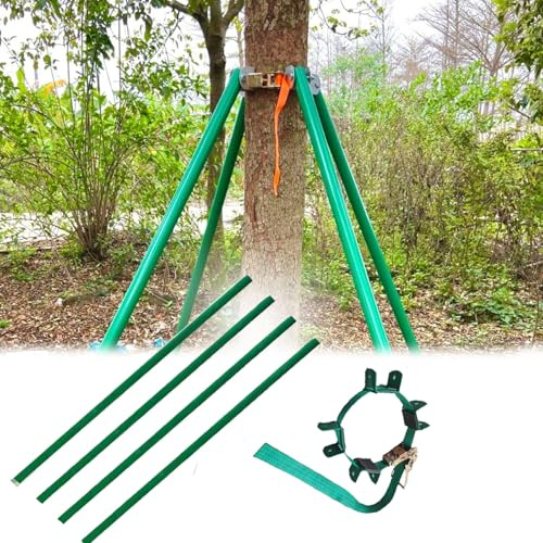 Telaio di supporto per albero resistente con fissatore, antivento, alto 2,5 m, per giardino, strumento di legatura per piante e alberi (2,5 m)