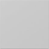 Gira 3496015 Wippe gerade System 55 Grau matt