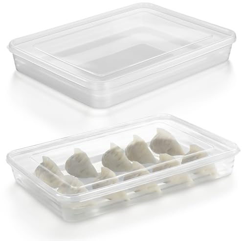 GATHINESS Caja de Albóndigas para Refrigerador y Congelador, 2 Piezas de Pp sin Compartimentos, Tapa, Fácil de Limpiar para Cocina