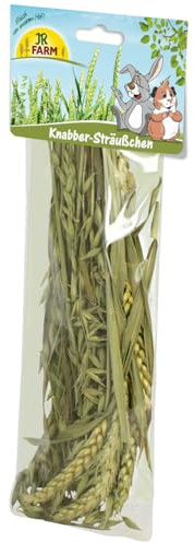 JR Farm Knabber-Sträußchen 25 g