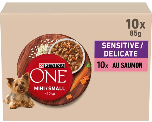 PURINA ONE Mini/Small <10 kg sensitiv/zart, mit Lachs, Reis und Karotten in Sauce für kleine erwachsene Hunde | empfindliche Verdauung, 10 x 85 g