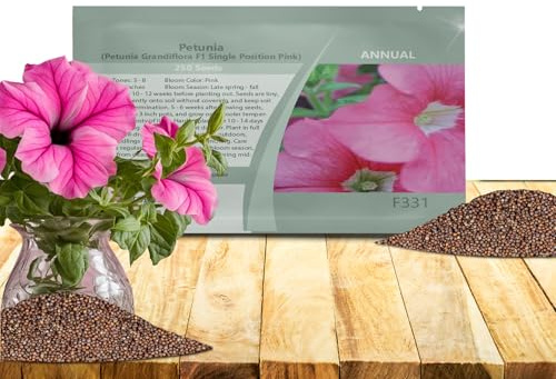Outsidepride Pink Petunia Grandiflora Seeds - 250 Pcs. Annual, Compact & Versatile Flower Seeds for Planting Low Growing Vibrant Blooms for Garden Beds, Hanging Baskets & Container Displays