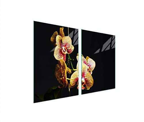 DarHaus Herdabdeckplatten 45x52 cm 2-teilig Ceranfeldabdeckung Induktion Herdschutz Spritzschutz Glasplatte Deko Schneidebrett, Orchidee Schwarz