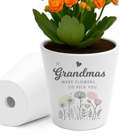 RED OCEAN Special For Grandma IF GRANDMAS WERE FLOWERS ID PICK YOU Plant Pot For Grandma Birthday Her Keepsake