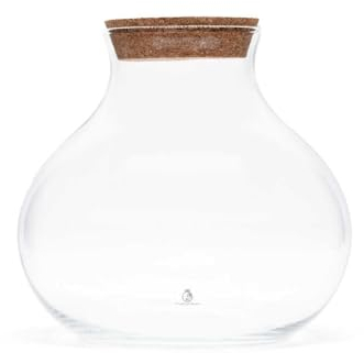 Glass Terrarium Container with Cork Lid, 24 cm High x 26 cm Wide, Hand Blown Clear Glass, Terrarium Jar (with Standard Lid, Glass Only)